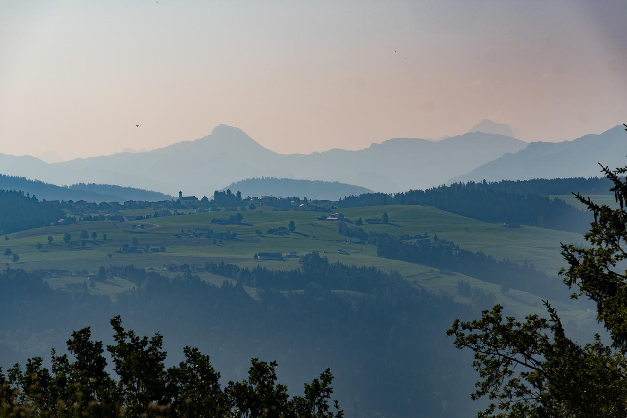 Hotel Edita Scheidegg Dış mekan fotoğraf
